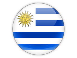 uruguay_round_icon_256.png
