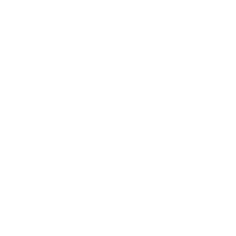 Globevisa