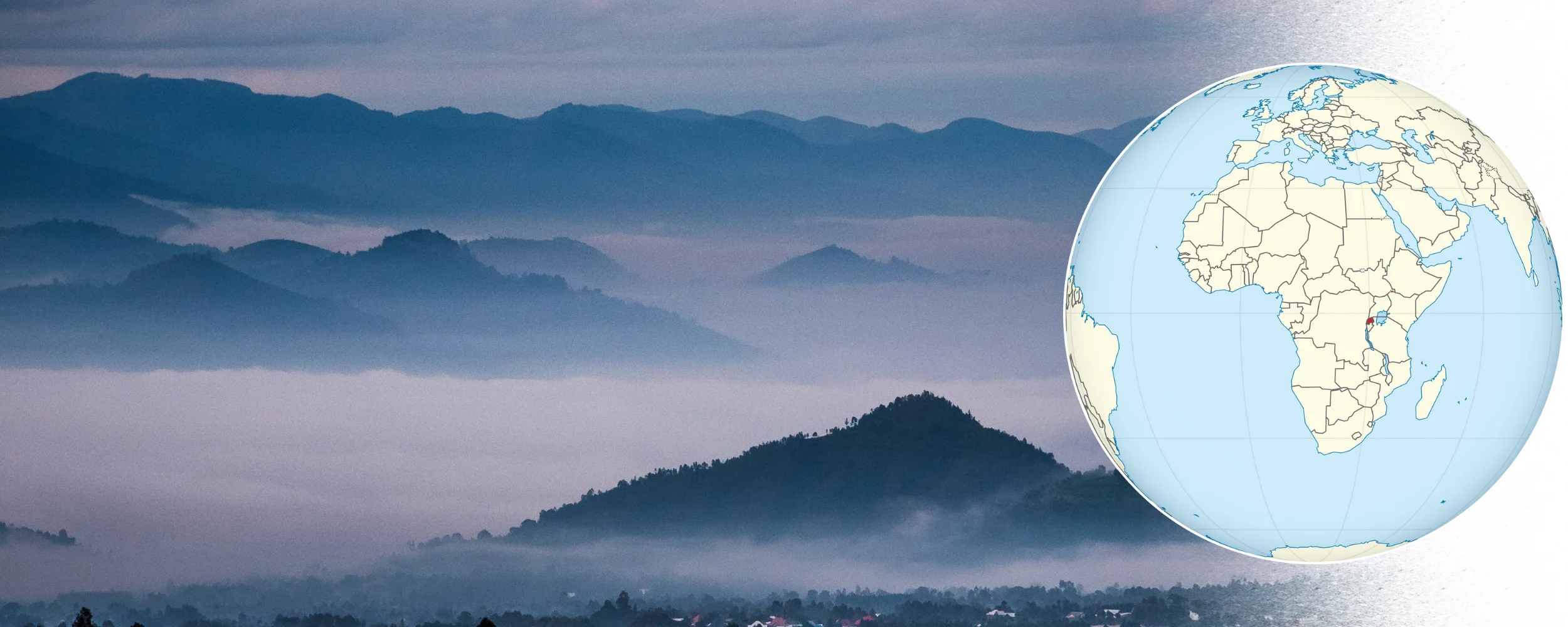 IS RWANDA A LOW INCOME COUNTRY visual data 8